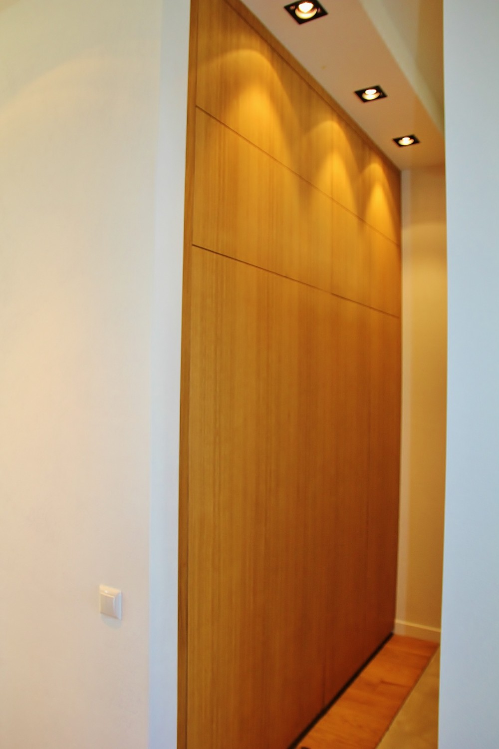Hallway closet from chipboard, coated with natural wood veneer 572